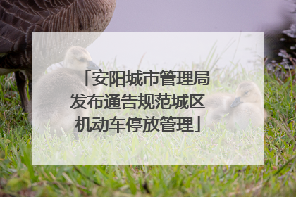 安阳城市管理局发布通告规范城区机动车停放管理